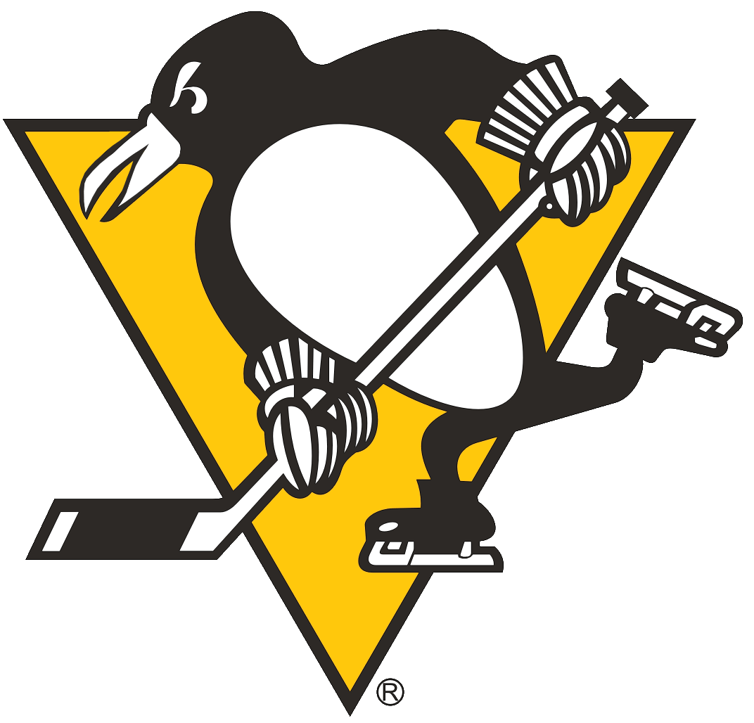 Pittsburgh Penguins 1972-1992 Primary Logo DIY iron on transfer (heat transfer)